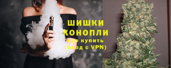 ешки Осинники