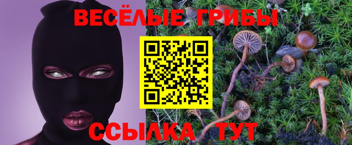Абакан  Галлюциногенные грибы Magic Shrooms  Вход с VPN  Галлюциногенные грибы Magic Shrooms 