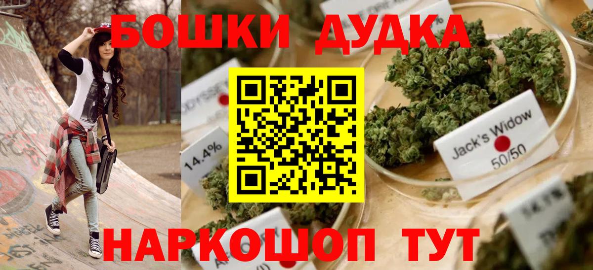 Каннабис план Абакан